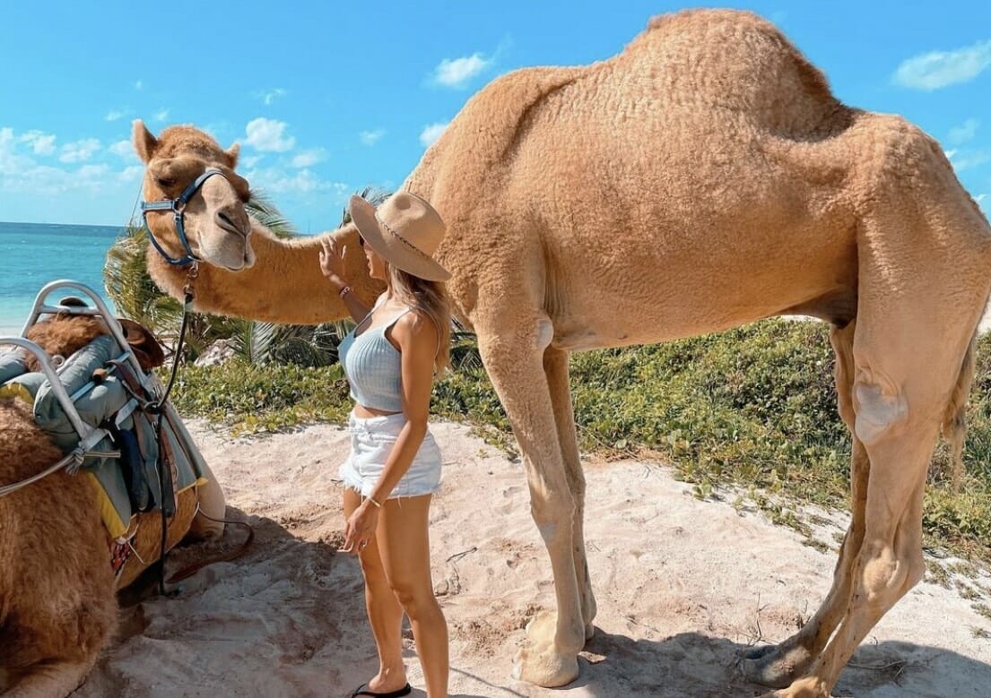 Camel Caravan Expedition image